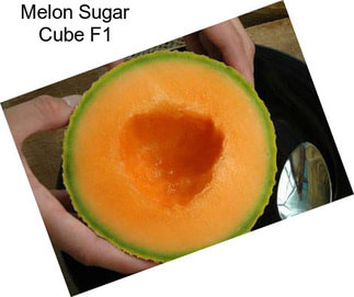 Melon Sugar Cube F1