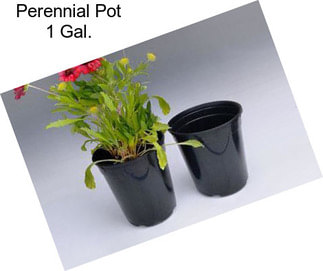 Perennial Pot 1 Gal.