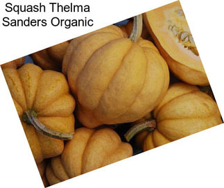 Squash Thelma Sanders Organic