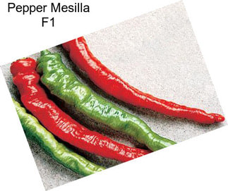 Pepper Mesilla F1