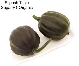 Squash Table Sugar F1 Organic