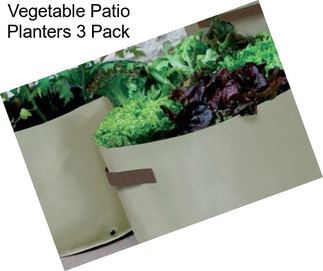 Vegetable Patio Planters 3 Pack