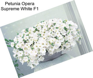 Petunia Opera Supreme White F1