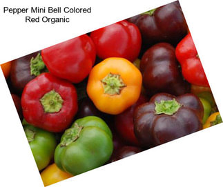 Pepper Mini Bell Colored Red Organic