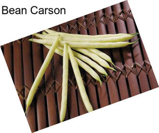 Bean Carson
