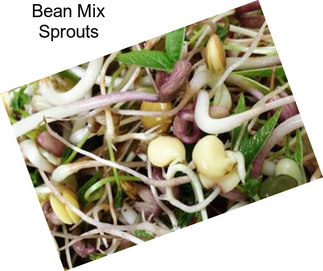 Bean Mix Sprouts