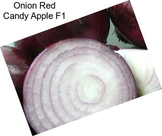 Onion Red Candy Apple F1