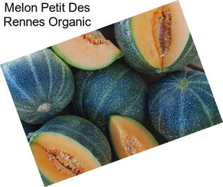 Melon Petit Des Rennes Organic