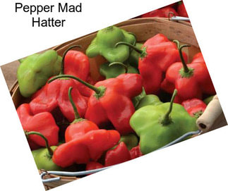 Pepper Mad Hatter