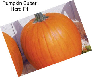 Pumpkin Super Herc F1