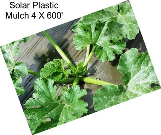 Solar Plastic Mulch 4 X 600\'