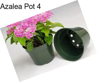 Azalea Pot 4\