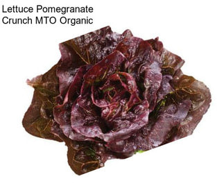 Lettuce Pomegranate Crunch MTO Organic