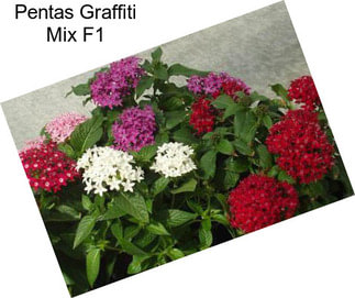 Pentas Graffiti Mix F1