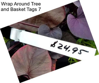 Wrap Around Tree and Basket Tags 7\