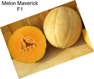 Melon Maverick F1