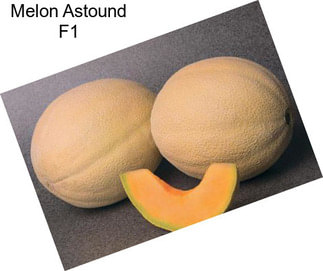 Melon Astound F1