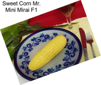 Sweet Corn Mr. Mini Mirai F1