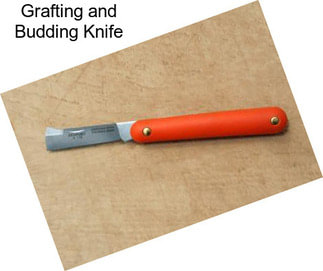 Grafting and Budding Knife
