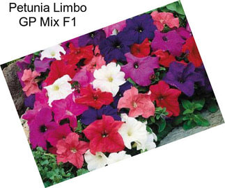 Petunia Limbo GP Mix F1