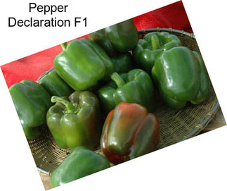 Pepper Declaration F1