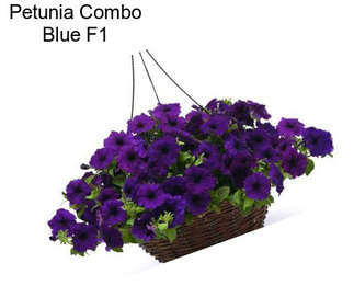 Petunia Combo Blue F1