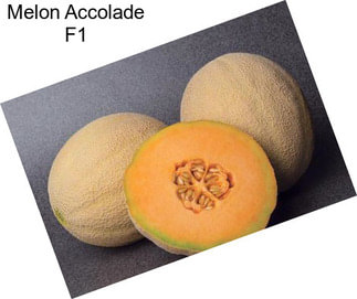 Melon Accolade F1