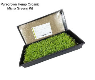 Puregrown Hemp Organic Micro Greens Kit