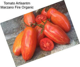 Tomato Artisantm Marzano Fire Organic