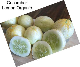 Cucumber Lemon Organic