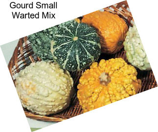 Gourd Small Warted Mix