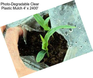 Photo-Degradable Clear Plastic Mulch 4\' x 2400\'