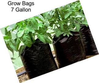 Grow Bags 7 Gallon