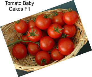 Tomato Baby Cakes F1