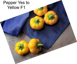 Pepper Yes to Yellow F1