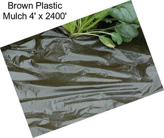 Brown Plastic Mulch 4\' x 2400\'