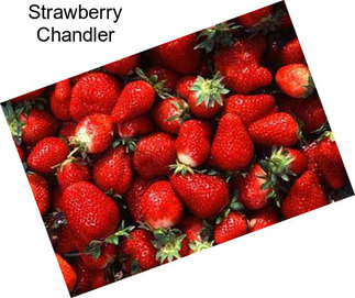 Strawberry Chandler