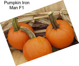 Pumpkin Iron Man F1