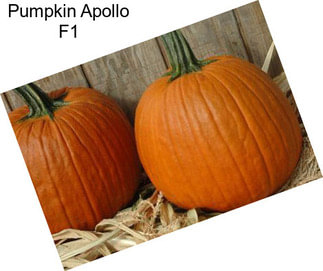 Pumpkin Apollo F1