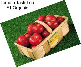 Tomato Tasti-Lee F1 Organic