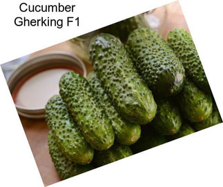 Cucumber Gherking F1