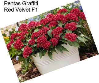 Pentas Graffiti Red Velvet F1