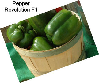 Pepper Revolution F1