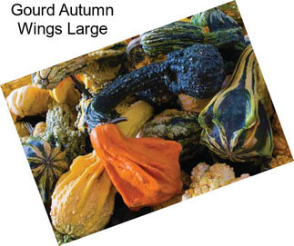 Gourd Autumn Wings Large