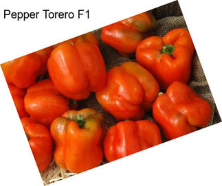 Pepper Torero F1