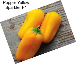 Pepper Yellow Sparkler F1