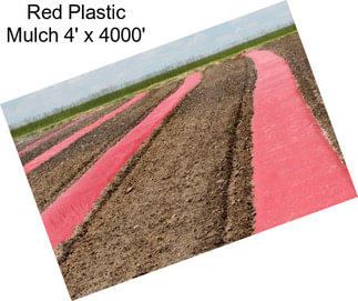 Red Plastic Mulch 4\' x 4000\'