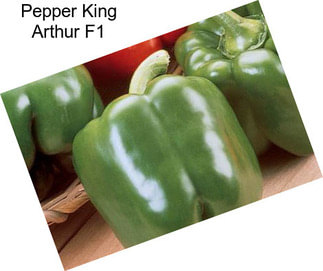 Pepper King Arthur F1