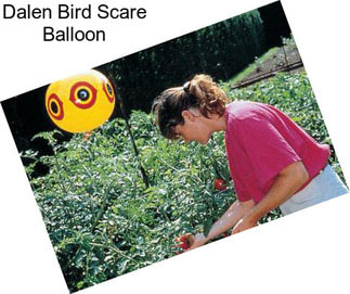 Dalen Bird Scare Balloon