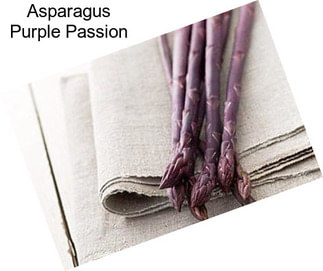 Asparagus Purple Passion